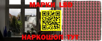 шишки Моздок