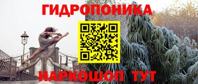 шишки Моздок